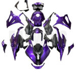 motorcycle-fairings-for-bmw-s1000rr-2023-2024-front-fw-mf60033 - Faswing